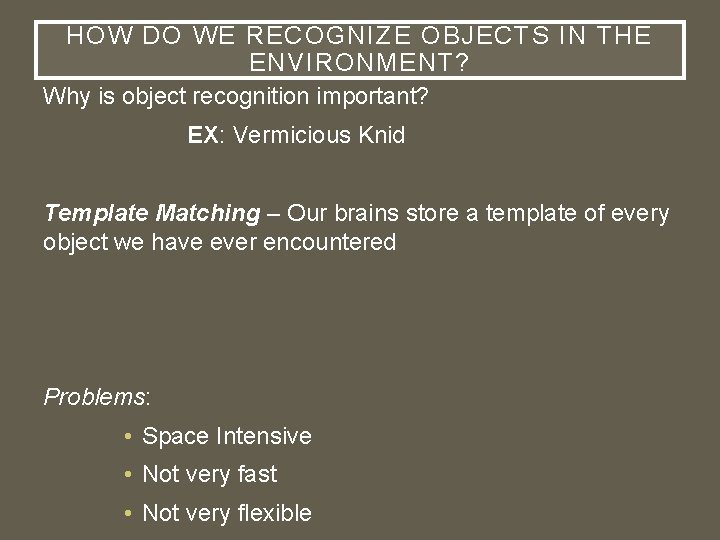 HOW DO WE RECOGNIZE OBJECTS IN THE ENVIRONMENT? Why is object recognition important? EX: