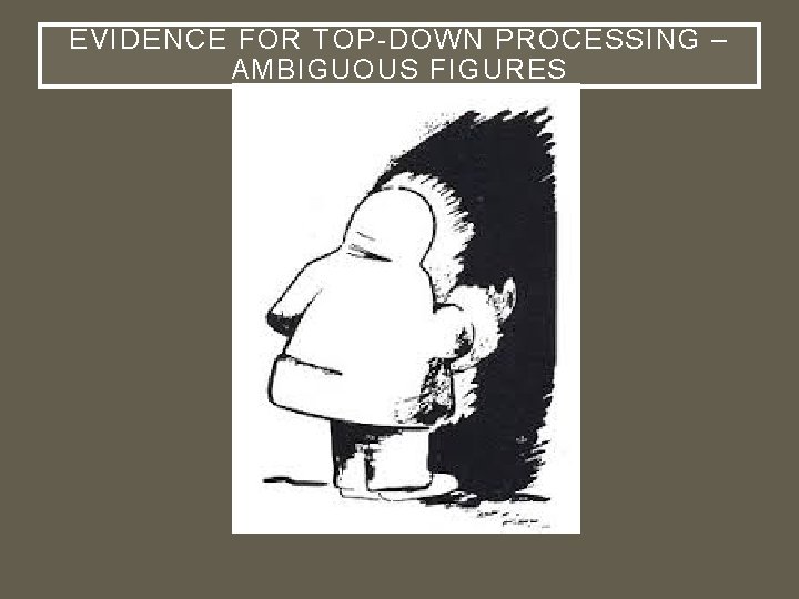 EVIDENCE FOR TOP-DOWN PROCESSING – AMBIGUOUS FIGURES 