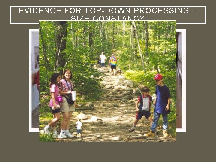 EVIDENCE FOR TOP-DOWN PROCESSING – SIZE CONSTANCY 