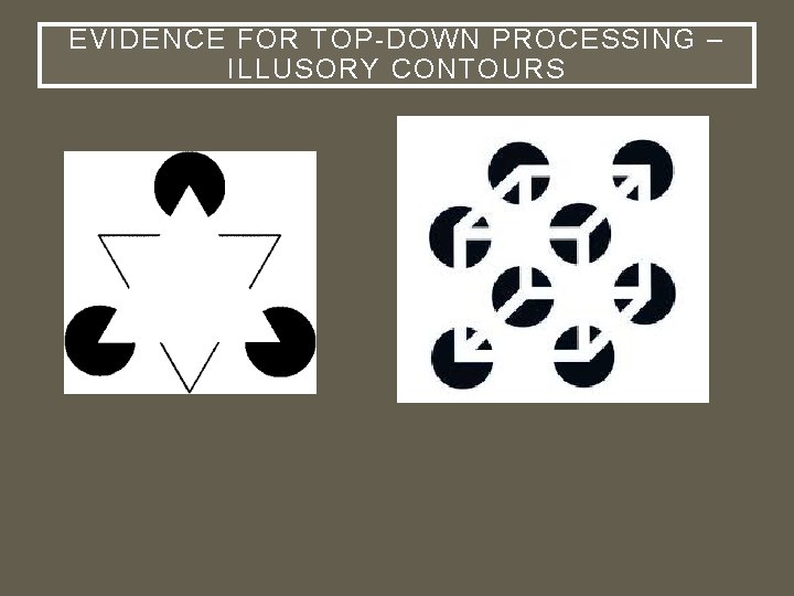 EVIDENCE FOR TOP-DOWN PROCESSING – ILLUSORY CONTOURS 