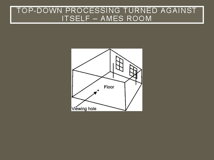 TOP-DOWN PROCESSING TURNED AGAINST ITSELF – AMES ROOM 