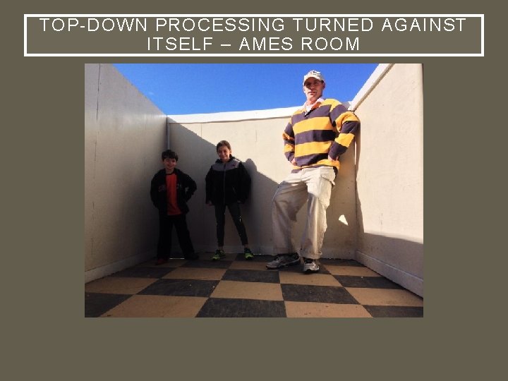 TOP-DOWN PROCESSING TURNED AGAINST ITSELF – AMES ROOM 