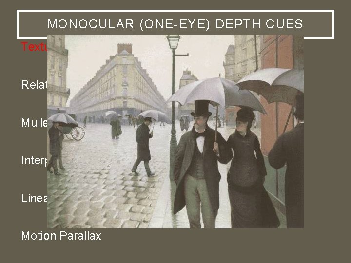 MONOCULAR (ONE-EYE) DEPTH CUES Texture gradients Relative size Muller-Lyer Illusion Interposition Linear perspective (Ponzo