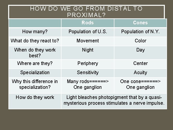 HOW DO WE GO FROM DISTAL TO PROXIMAL? Rods Cones How many? Population of