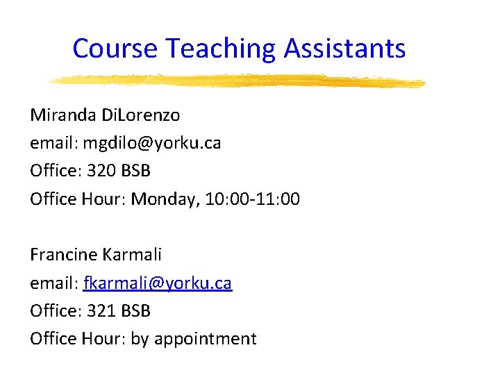 Course Teaching Assistants Miranda Di. Lorenzo email: mgdilo@yorku. ca Office: 320 BSB Office Hour: