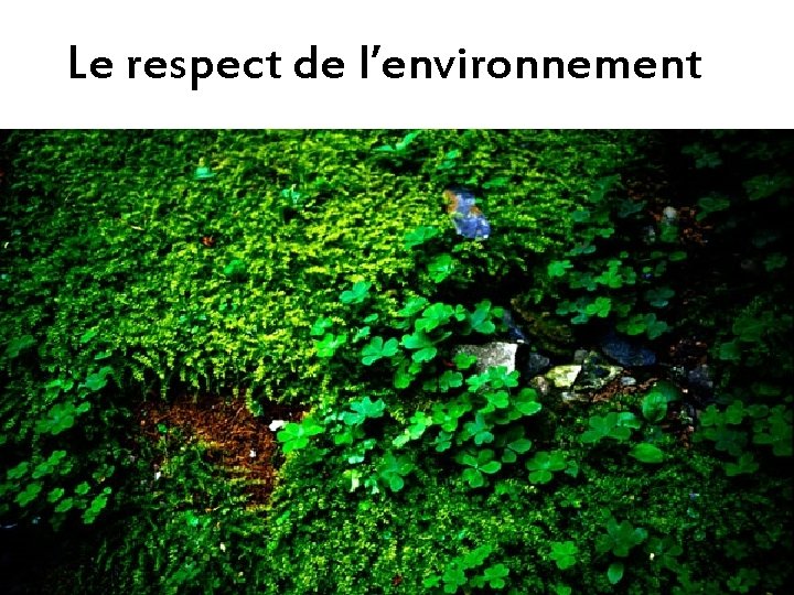 Le respect de l’environnement 