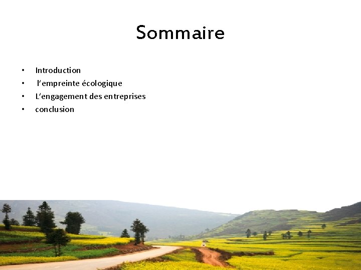 Sommaire • • Introduction l’empreinte écologique L’engagement des entreprises conclusion 