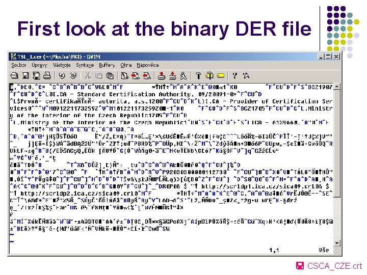 First look at the binary DER file CSCA_CZE. crt 