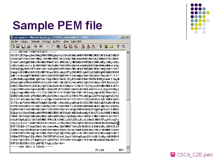 Sample PEM file CSCA_CZE. pem 