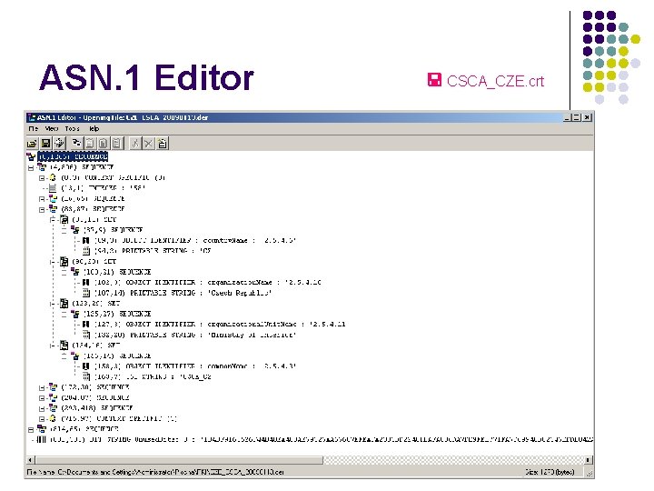 ASN. 1 Editor CSCA_CZE. crt 