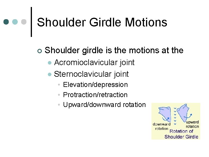 Shoulder Girdle Motions ¢ Shoulder girdle is the motions at the Acromioclavicular joint l