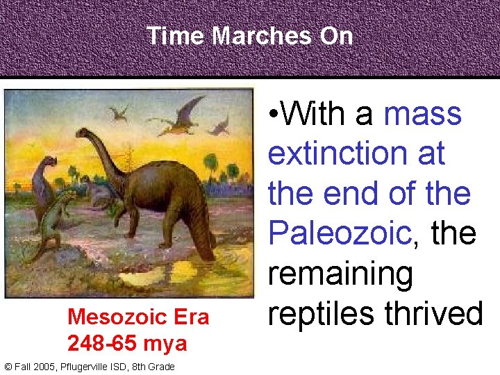 Time Marches On Mesozoic Era 248 -65 mya © Fall 2005, Pflugerville ISD, 8