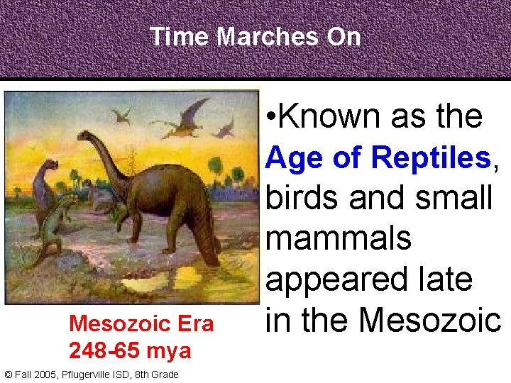 Time Marches On Mesozoic Era 248 -65 mya © Fall 2005, Pflugerville ISD, 8