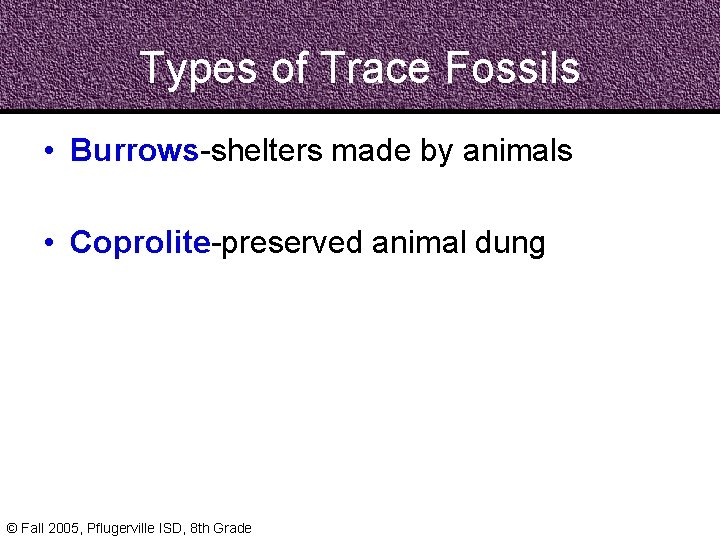 Types of Trace Fossils • Burrows-shelters made by animals • Coprolite-preserved animal dung ©