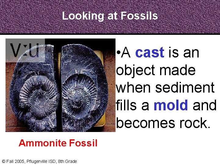 Looking at Fossils • A cast is an object made when sediment fills a