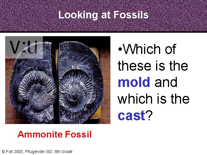 Looking at Fossils • Which of these is the mold and which is the