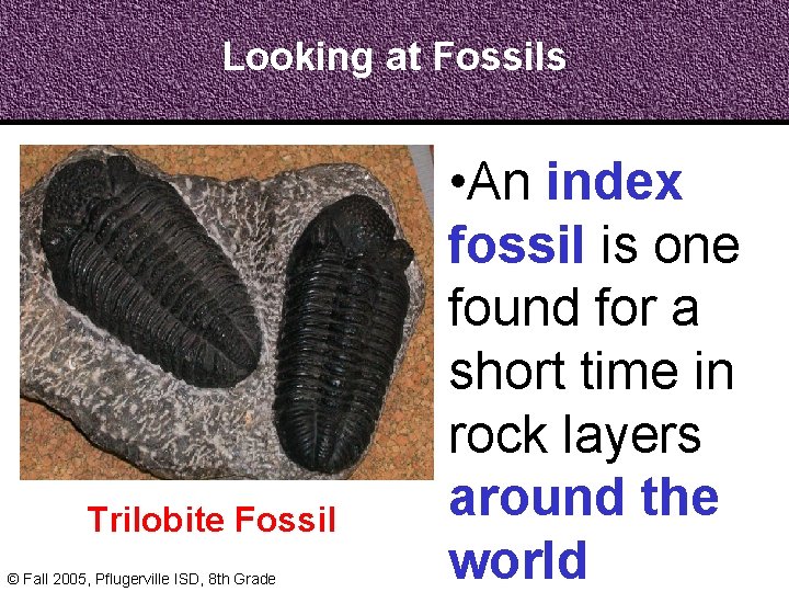 Looking at Fossils Trilobite Fossil © Fall 2005, Pflugerville ISD, 8 th Grade •