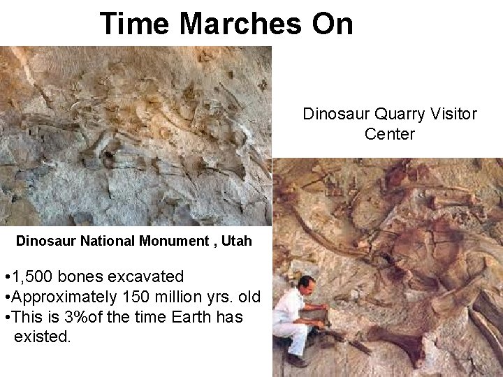 Time Marches On Dinosaur Quarry Visitor Center Dinosaur National Monument , Utah • 1,