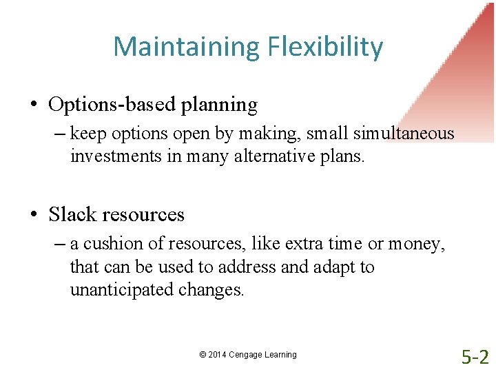Maintaining Flexibility • Options-based planning – keep options open by making, small simultaneous investments