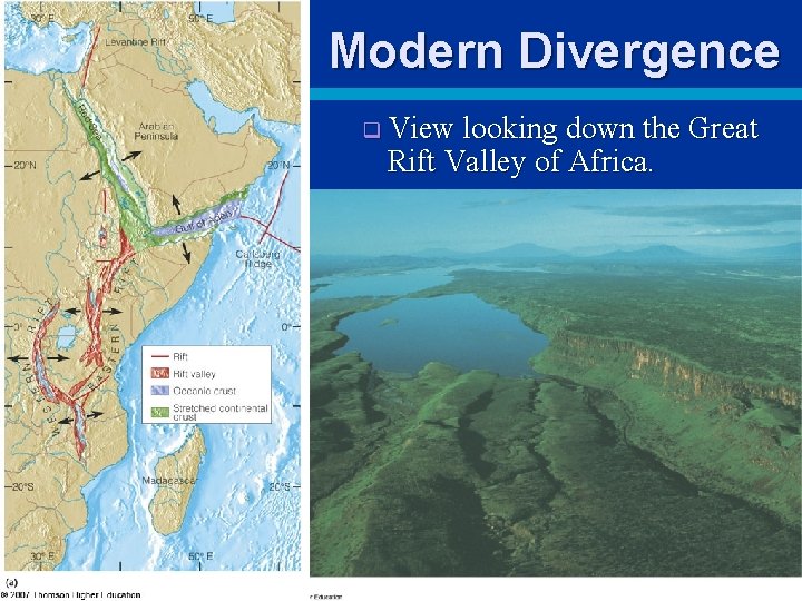 Modern Divergence q View looking down the Great Rift Valley of Africa. n Little