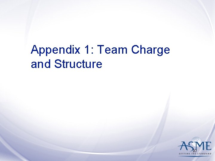 Appendix 1: Team Charge and Structure 10 Appendix 1: Team Charge and Structure 10