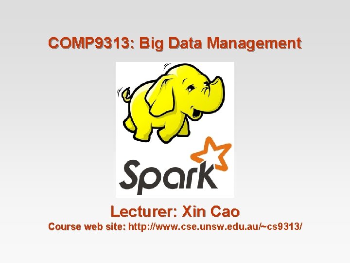 COMP 9313: Big Data Management Lecturer: Xin Cao Course web site: http: //www. cse.