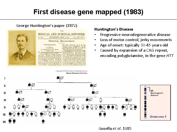 First disease gene mapped (1983) George Huntington’s paper (1872) Huntington’s Disease • Progressive neurodegenerative