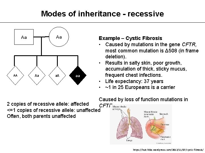 Modes of inheritance - recessive Aa Aa AA Aa a. A aa Example –
