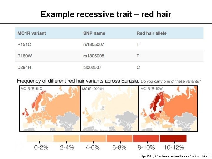 Example recessive trait – red hair https: //blog. 23 andme. com/health-traits/no-im-not-irish/ 