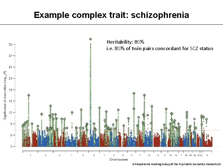 Example complex trait: schizophrenia Heritability: 80% i. e. 80% of twin pairs concordant for