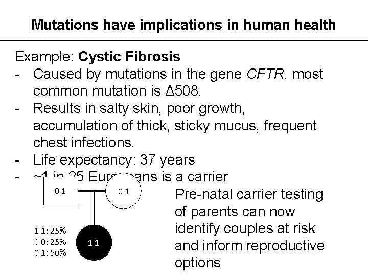 Mutations have implications in human health Example: Cystic Fibrosis - Caused by mutations in
