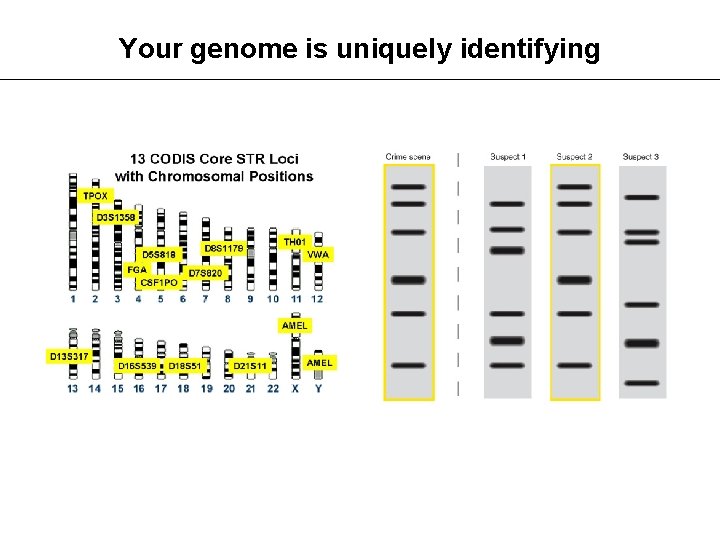 Your genome is uniquely identifying 