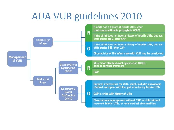 AUA VUR guidelines 2010 