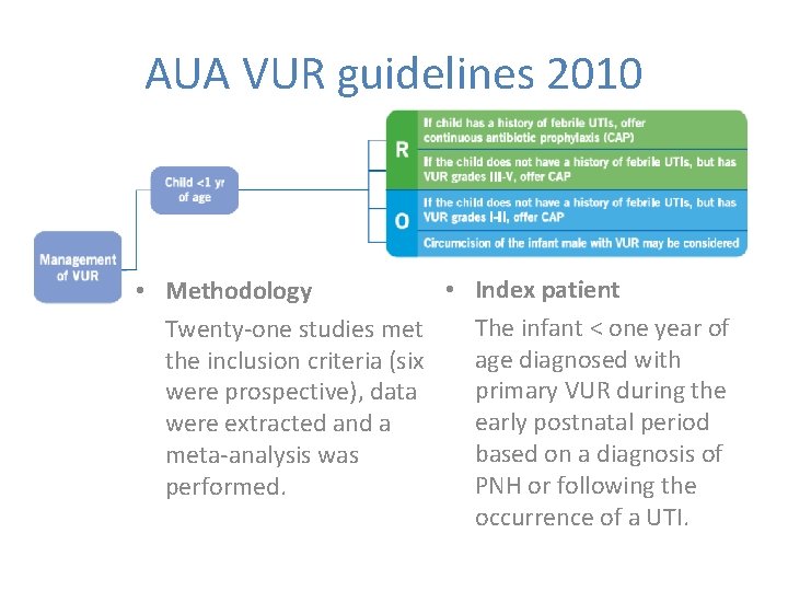 AUA VUR guidelines 2010 • Index patient • Methodology The infant < one year