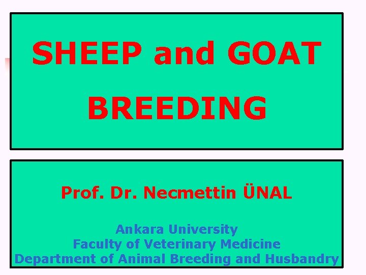 SHEEP and GOAT BREEDING Prof. Dr. Necmettin ÜNAL Ankara University Faculty of Veterinary Medicine