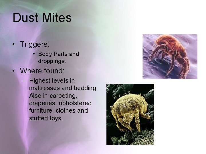 Dust Mites • Triggers: • Body Parts and droppings. • Where found: – Highest