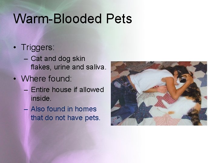 Warm-Blooded Pets • Triggers: – Cat and dog skin flakes, urine and saliva. •