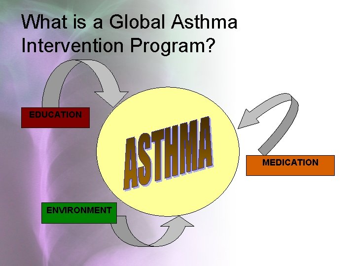 What is a Global Asthma Intervention Program? EDUCATION MEDICATION ENVIRONMENT 