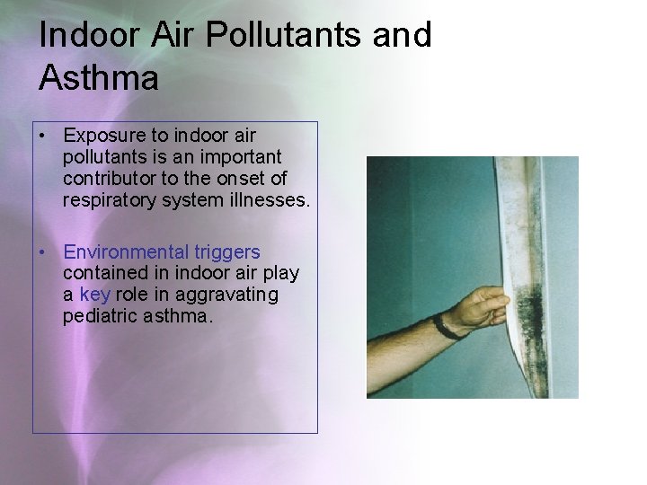 Indoor Air Pollutants and Asthma • Exposure to indoor air pollutants is an important