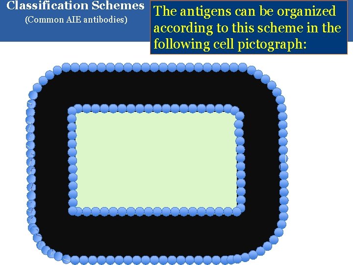 Classification Schemes (Common AIE antibodies) The antigens can be organized according to this scheme