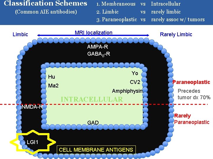 Classification Schemes (Common AIE antibodies) 1. Membraneous vs Intracellular 2. Limbic vs rarely limbic