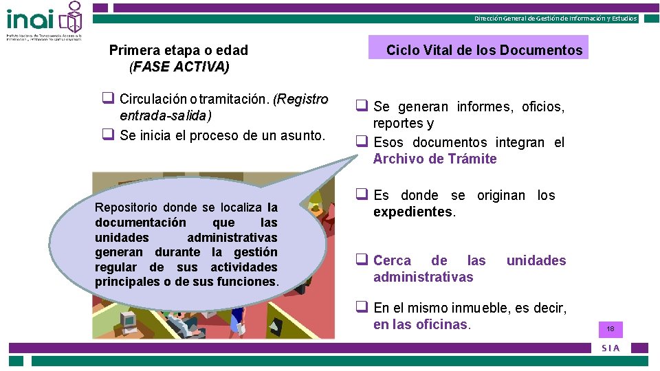 Instituto Nacional de Transparencia, Acceso a la Información Dirección General de Gestión de Información