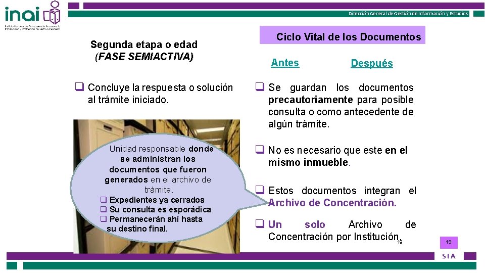Instituto Nacional de Transparencia, Acceso a la Información Dirección General de Gestión de Información