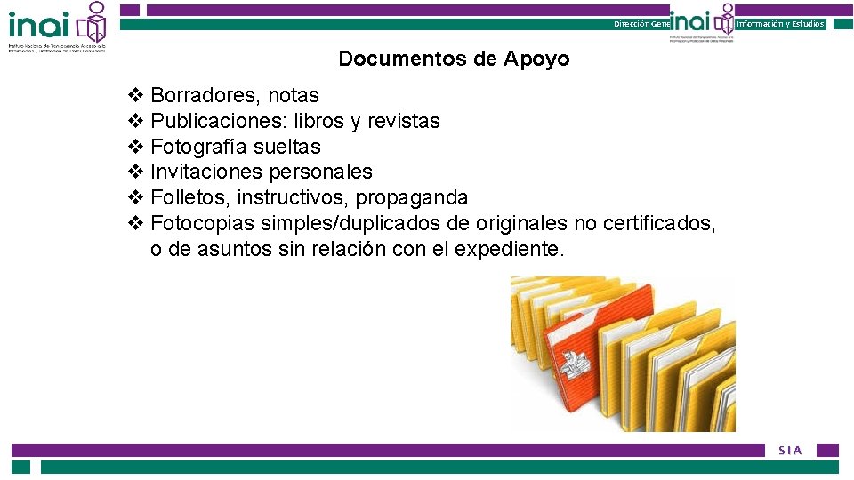 Instituto Nacional de Transparencia, Acceso a la Información Dirección General de Gestión de Información