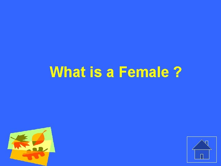 What is a Female ? 