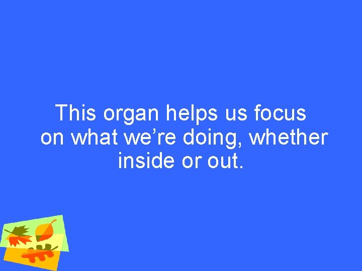 This organ helps us focus on what we’re doing, whether inside or out. 