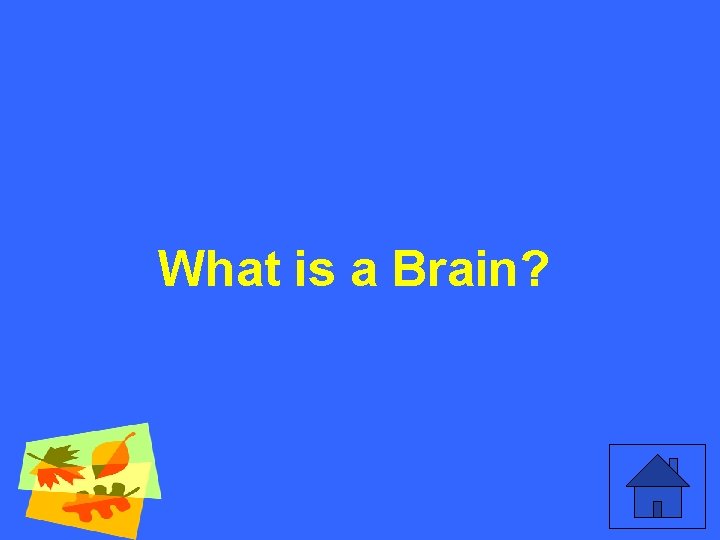 What is a Brain? 