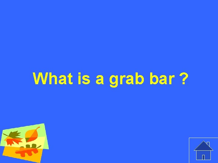 What is a grab bar ? 