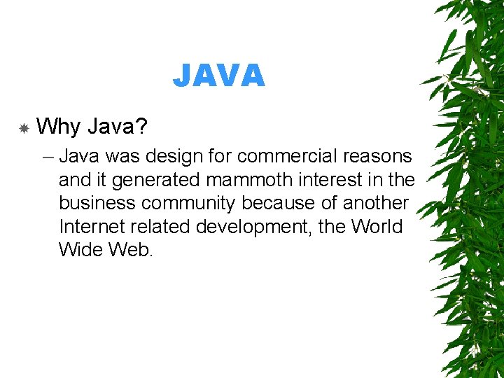 JAVA Why Java? – Java was design for commercial reasons and it generated mammoth