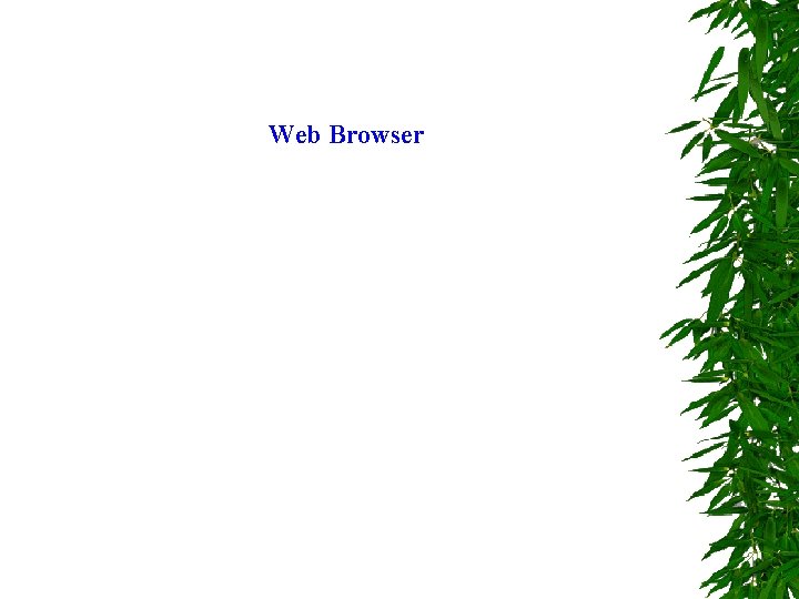 Web Browser 